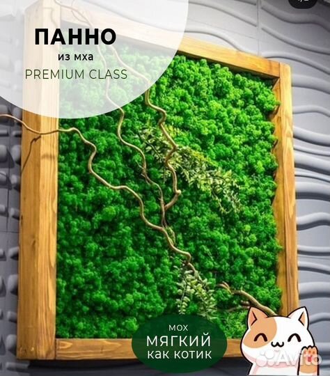 Панно из мха квадратное