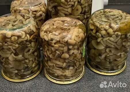 Продам грибы