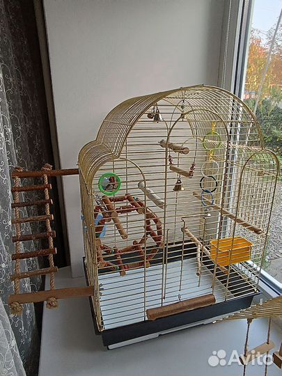 Клетка для попугая бу