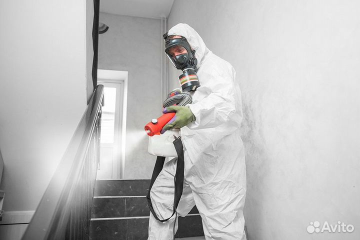 Уничтожение тараканов клопов обработка