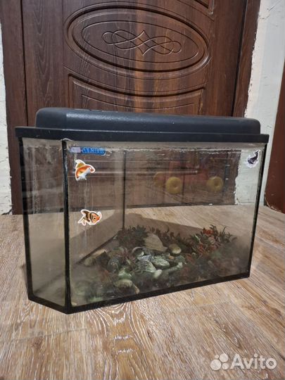 Аквариум