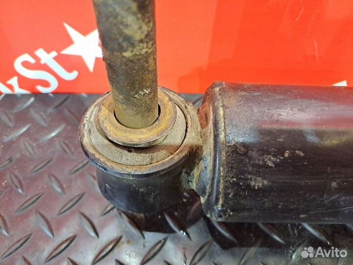 Амортизатор задний Daf XF106