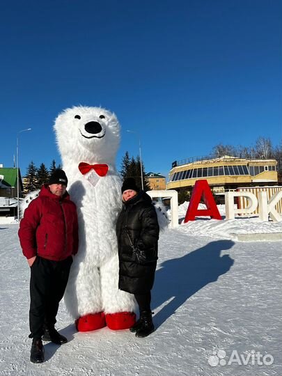 Белый мишка поздравление аниматор