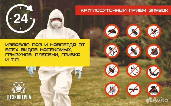 Дезинфекция/Уничтожение/Клопы/Тараканы/Крысы/Запах