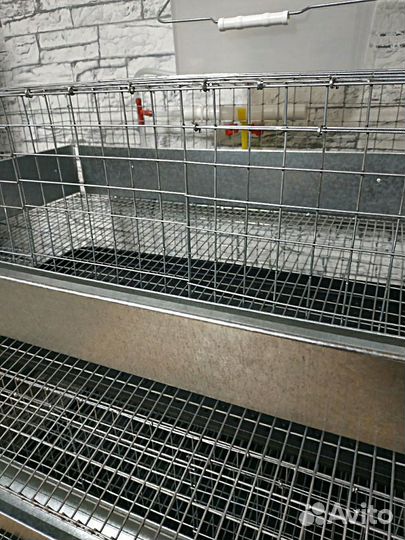 Клетка для перепелов 2 секции