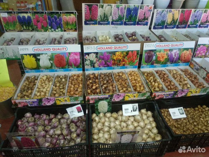 Добро пожаловать В Садовый Центр