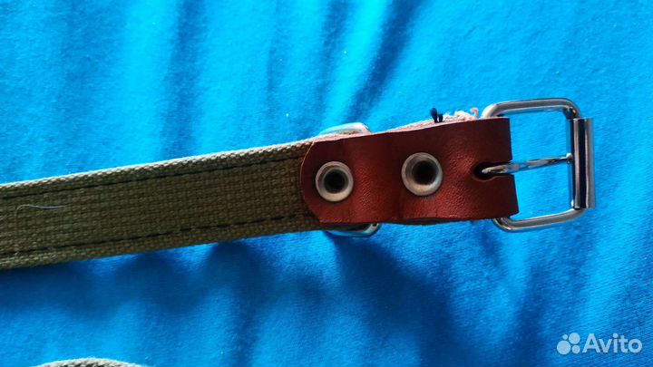 Товары для больших собак поводки и ошейники