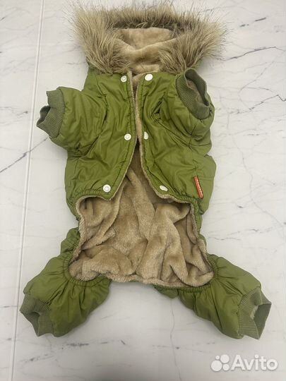 Одежда для собак мелких пород