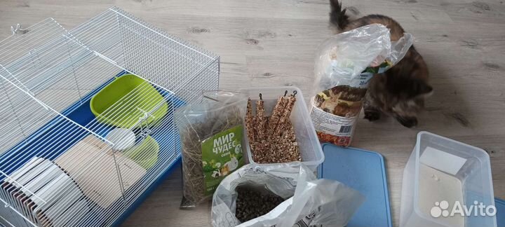 Клетка и аксессуары для грызунов