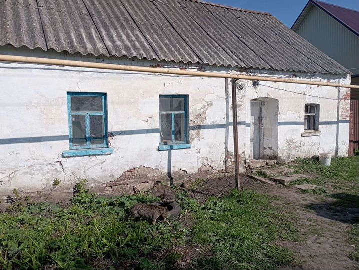 Дом 40 м² на участке 35 сот.