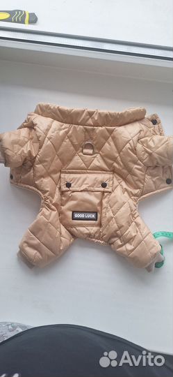 Одежда для собак