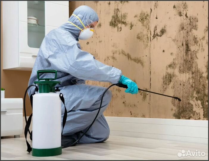 Обработка от тараканов, клопов, блох, муравьев