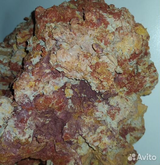 Калейдоскоп фиалка