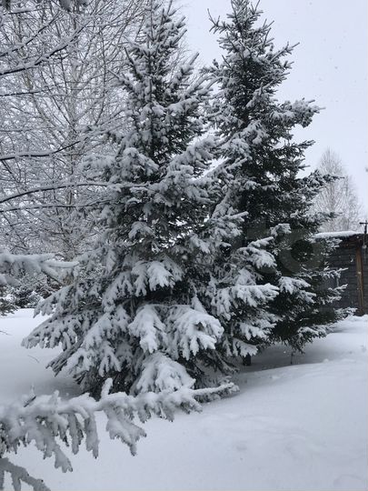 Дача 160 м² на участке 10 сот.