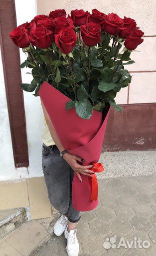 Метровые Розы