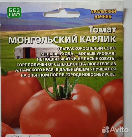 Рассада томатов, баклажан, тыквы