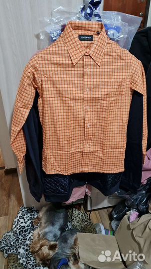 Рубашки новые подростковые