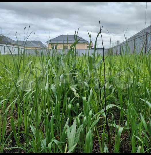 Участок 7 сот. (ИЖС)