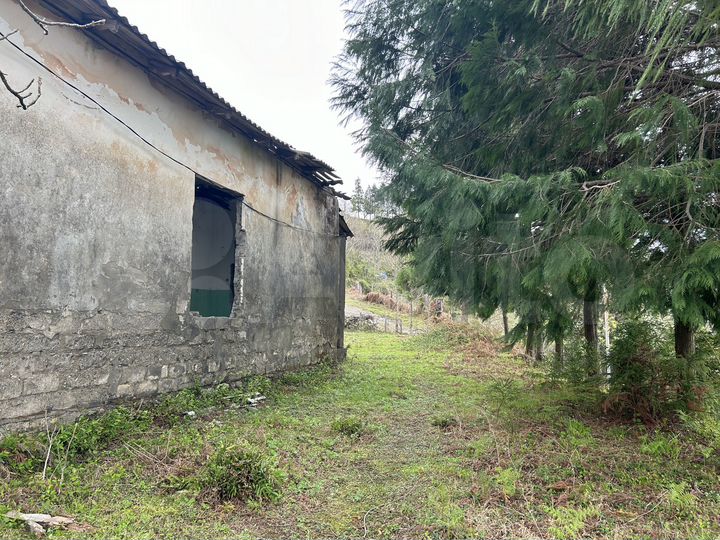 Участок 1400 м² (Грузия)