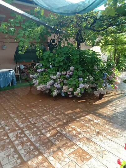 Дом 75 м² на участке 4 сот.