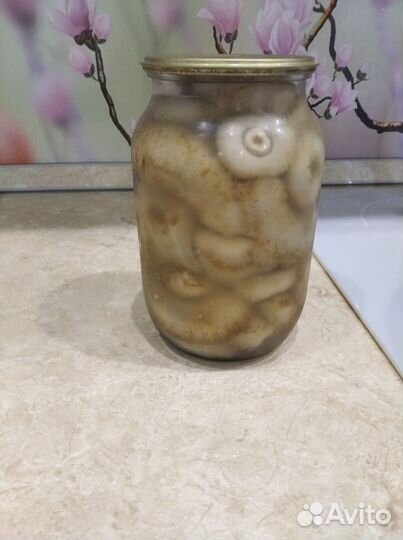 Грибы соленые