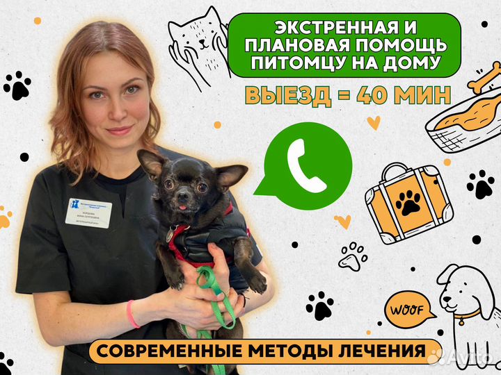 Ветеринар. Выезд на дом