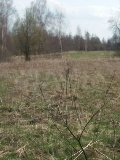Участок 21 сот. (ИЖС)