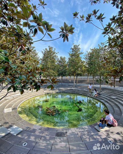 Однодневные туры