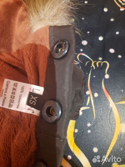 Одежда для маленьких собак xs