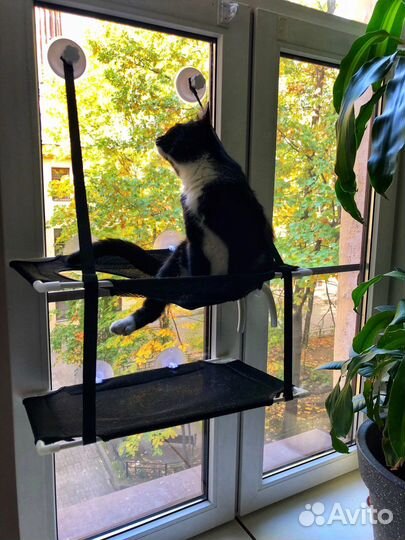 Гамак - лежак для кота и кошки на окно. Новый