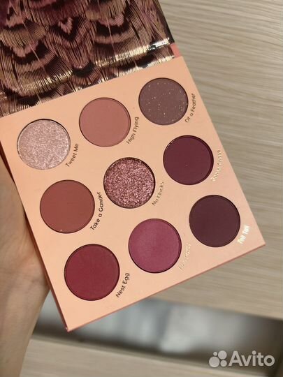 Палитра теней colourpop fine feathered