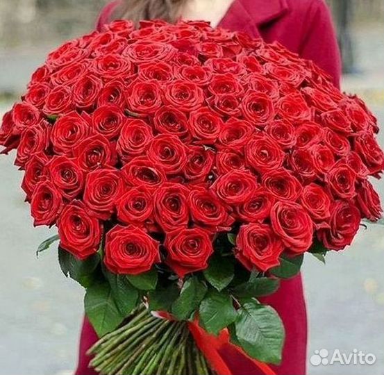 Букет роз 101 роза 51 роза