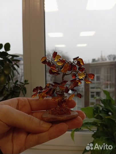 Дерево из янтаря