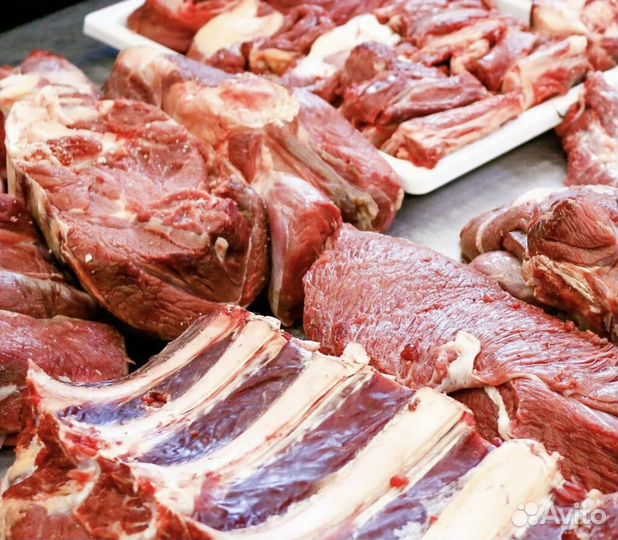 Мясо телятина
