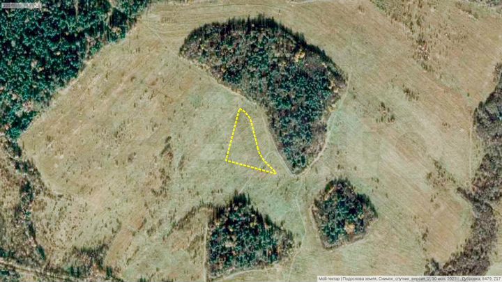 Участок 82,9 сот. (СНТ, ДНП)