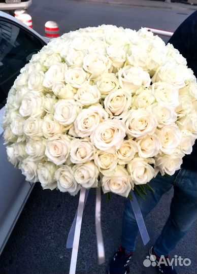 Розы, букет цветов, 101 роза, 51 роза. Розы опт