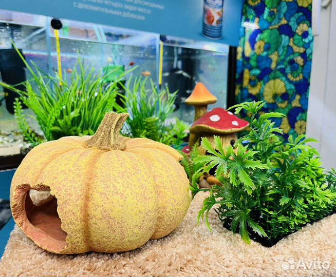 Декорации для аквариума