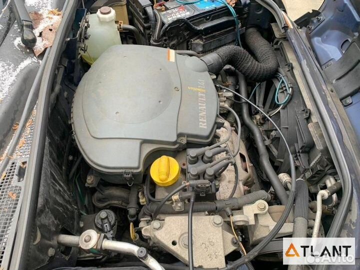 Ноускат renault kangoo