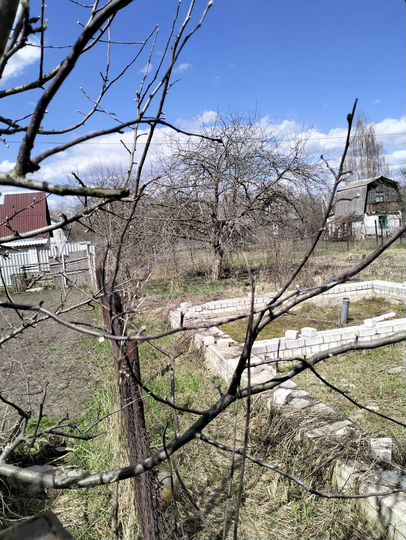 Дача 24 м² на участке 6 сот.