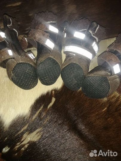 Ботинки для маленьких собак