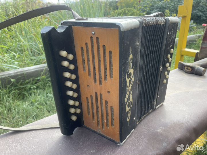 Гармонь СССР