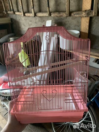 Клетка для попугая