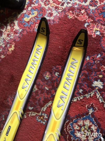 Горные лыжи