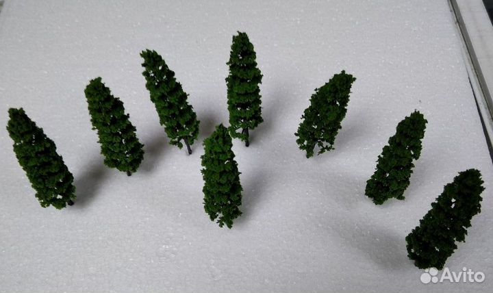 Модель зеленой сосны