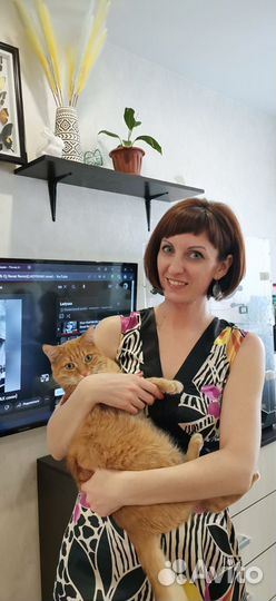 Зооняня/гостиница для животных