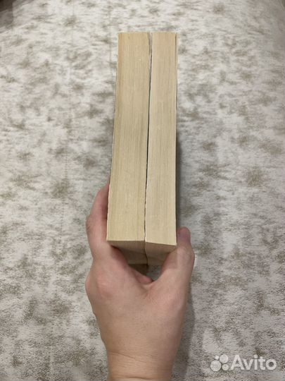 Шантарам 2 тома