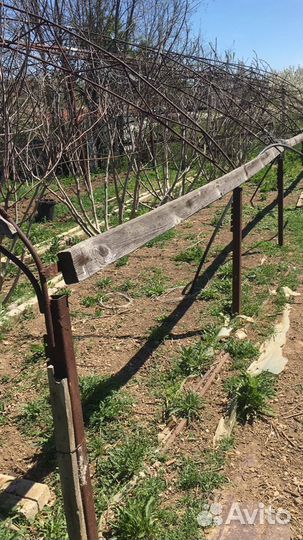 Две Теплицы металлические