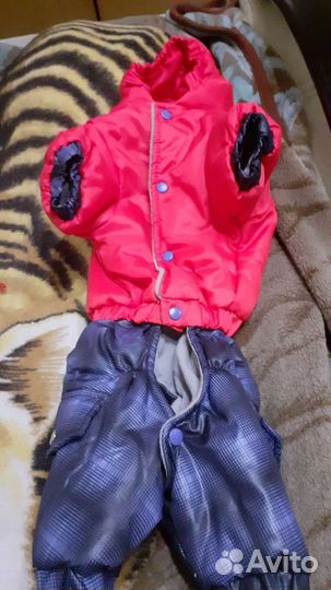 Одежда для маленьких собак