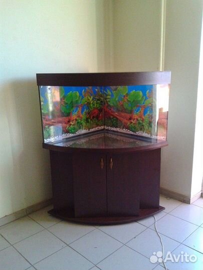 Аквариум230