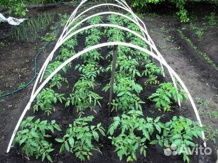 Перегной с доставкой